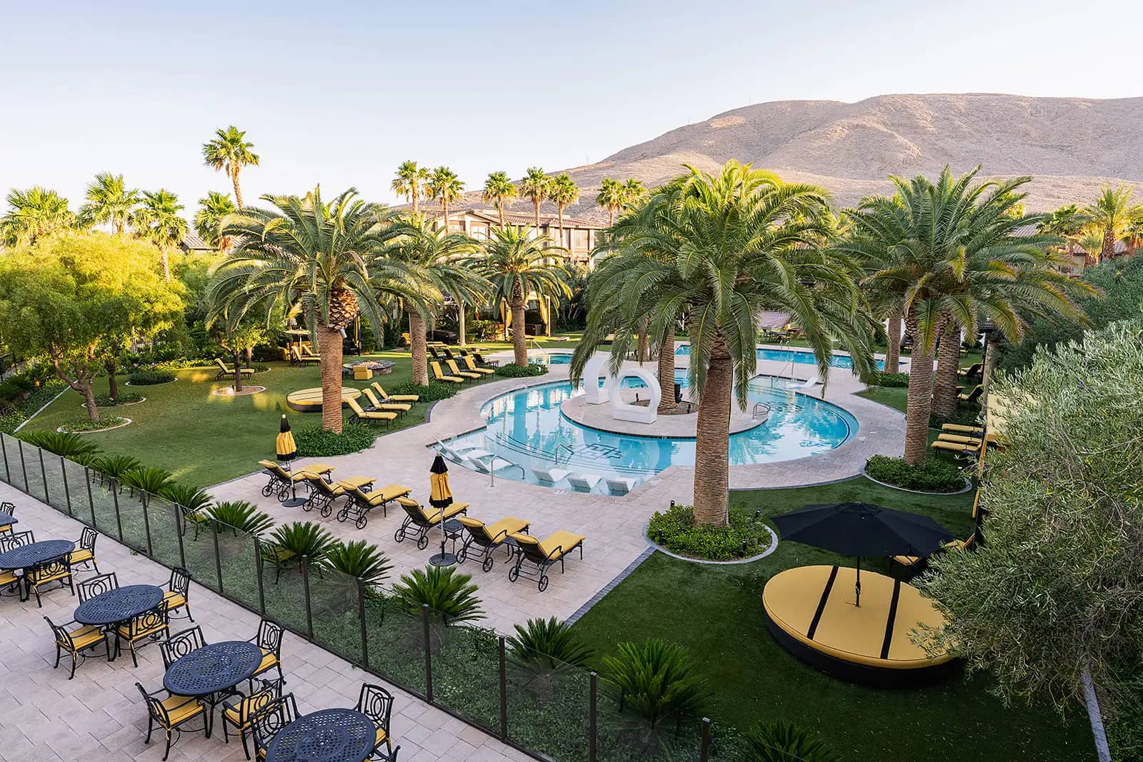 Pool garden with palm trees beside the outdoor patio
